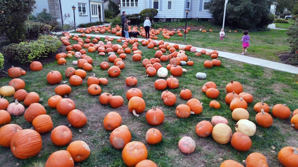 Ridley Park church's annual pumpkin sale supports food pantry, families in need — West Chester Schools news